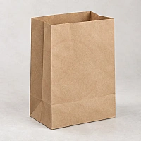 Duplex Paper Bag