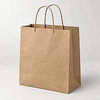 Paper Carry Bag