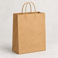 Virgin Kraft Paper Bag